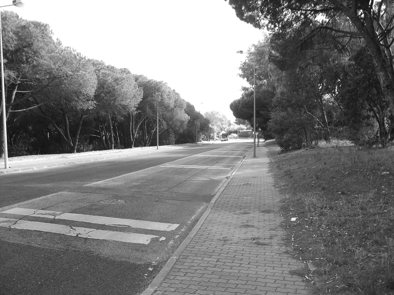 Going back in time - Monsanto Park