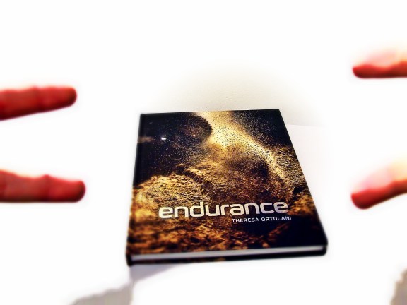 Endurance: Down and Dirty Off-road Racing