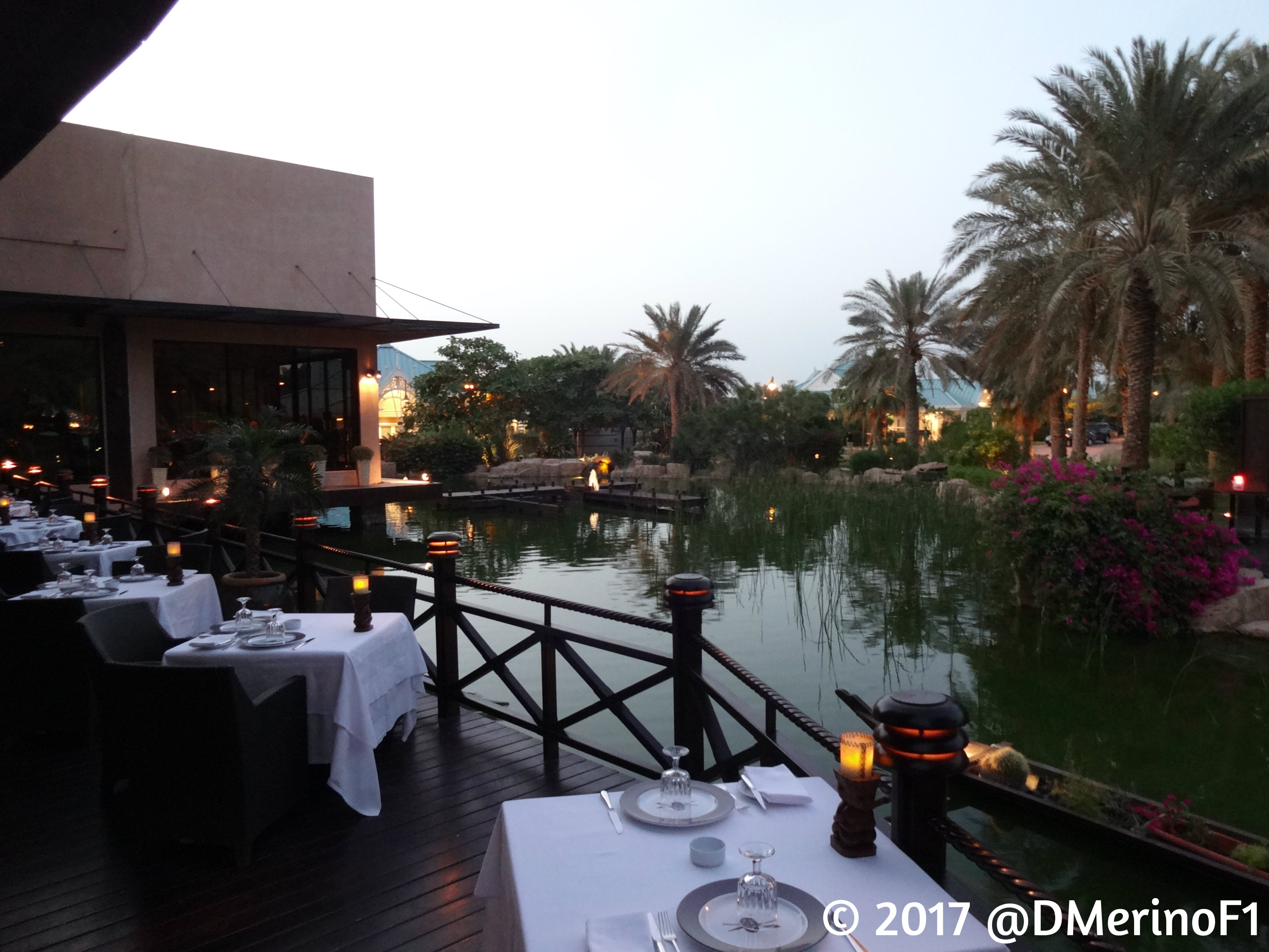 Jet planes, islands, tigers on a gold leash