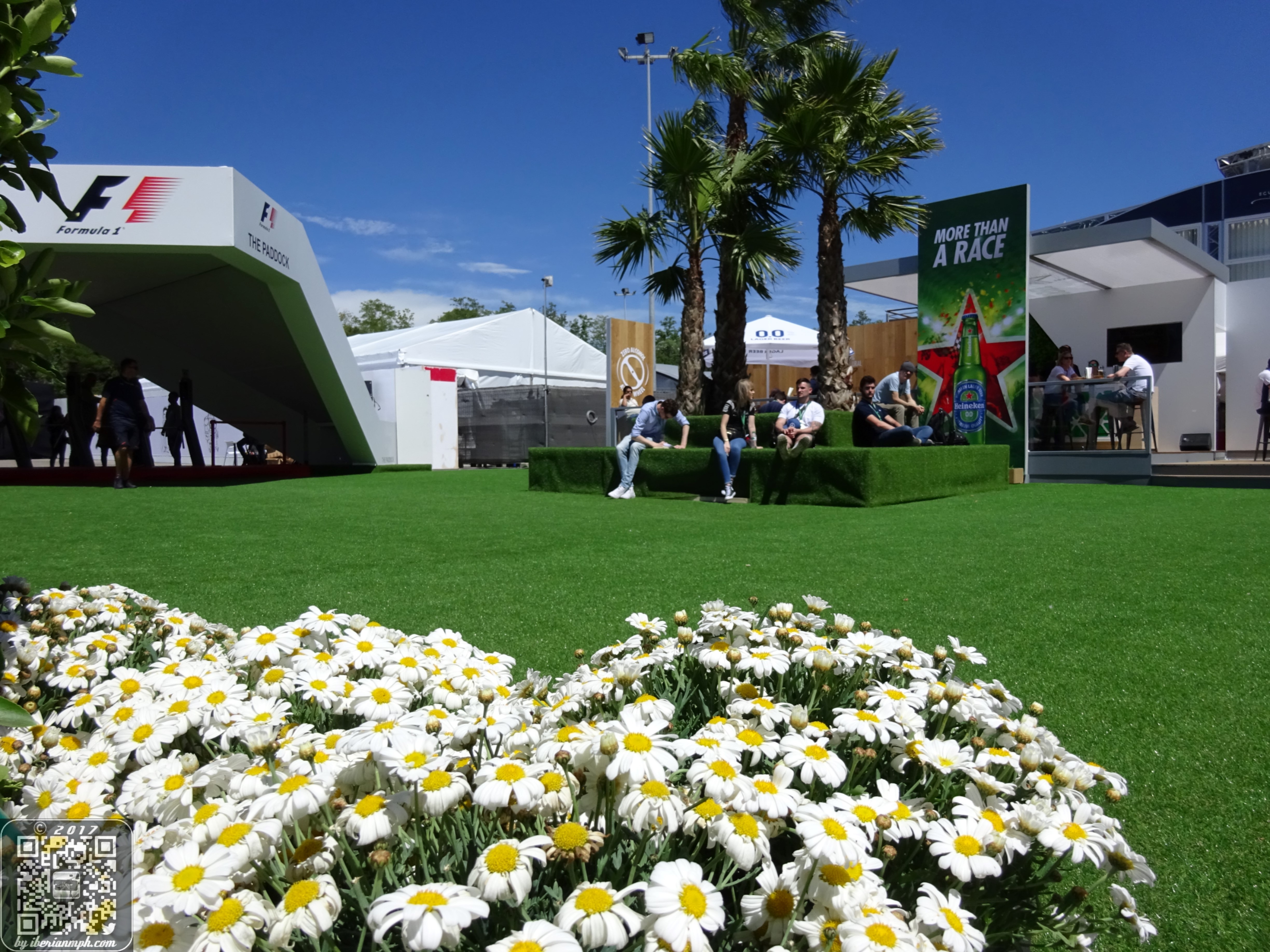 Sweet VIP Paddock Life