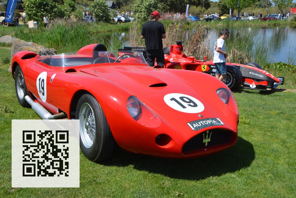A classic red sports car with the number 19 on its side, parked on grass near a pond. A child and an adult are in the background, along with another red race car.