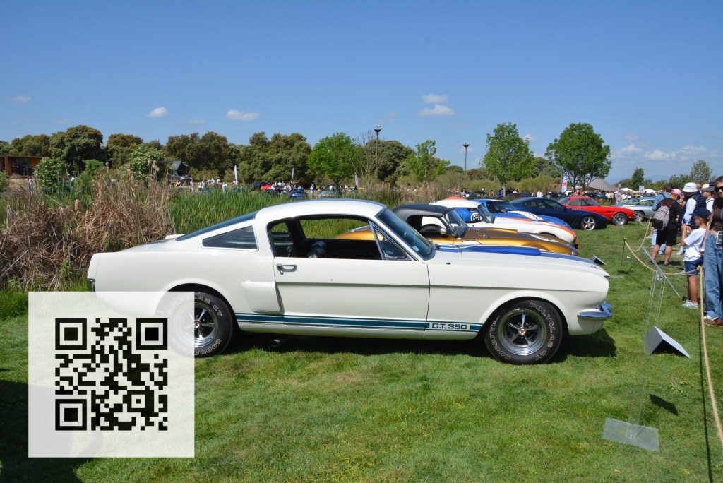 A classic white Ford Mustang G.T. 350 parked on green grass at a car show, with other vintage cars in the background and a QR code displayed in the foreground.