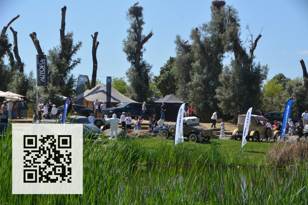 A view of a vintage car show by a pond, featuring various classic cars and attendees gathered near tents and banners in a sunny outdoor setting.