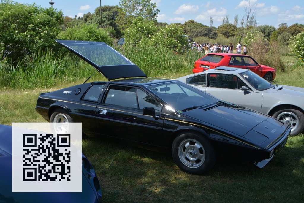 A black sports car with an open rear hatch is parked in a grassy area, surrounded by other vintage cars and people in the background.