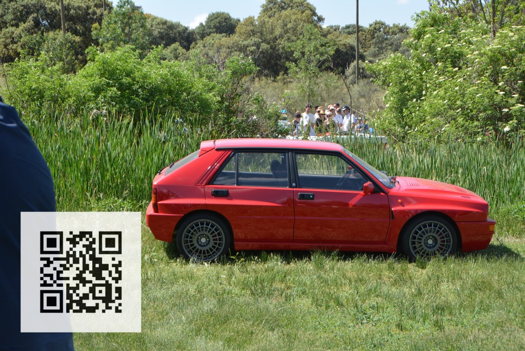 A bright red car parked in a grassy area surrounded by greenery, with a group of people visible in the background.